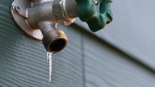 Best Clogged Drain Plumber  in Springfield, TN